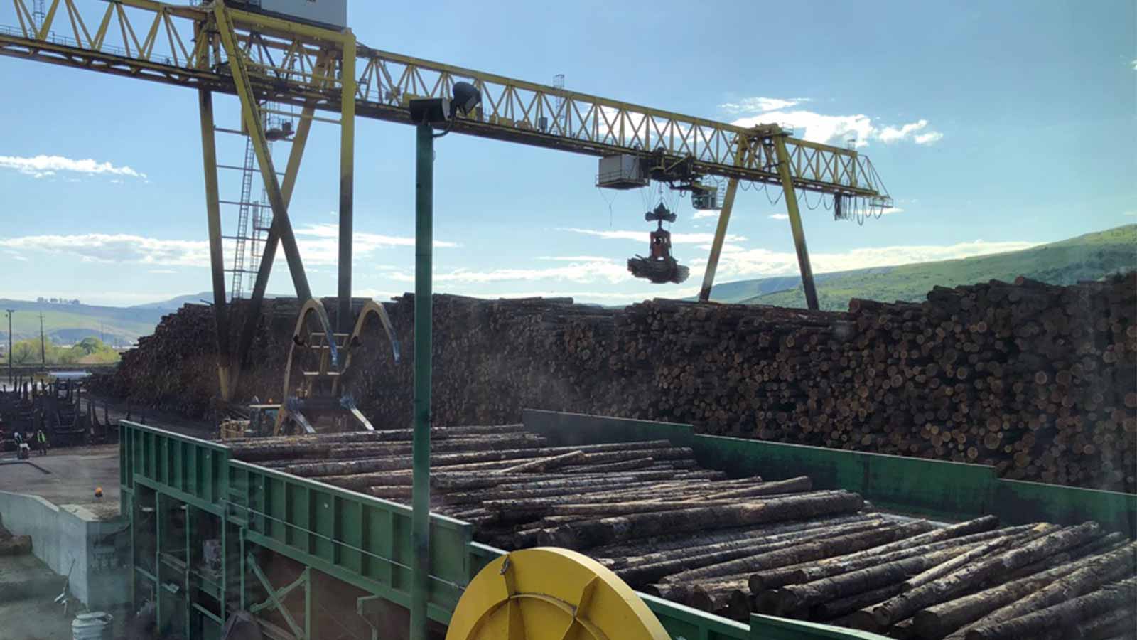 Complex heavy machinery at a lumber yard