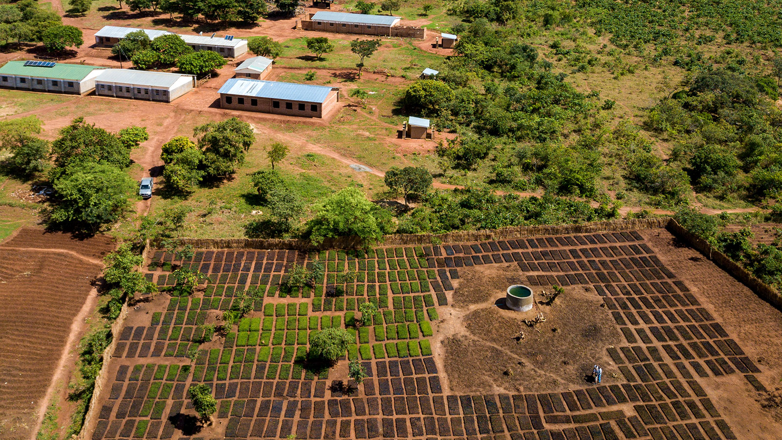 view of the reforestation projects