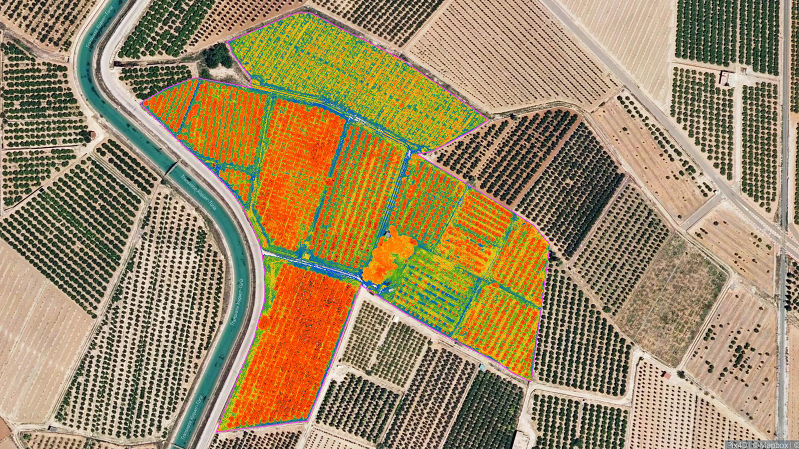 NDVI map from PIX4Dfields