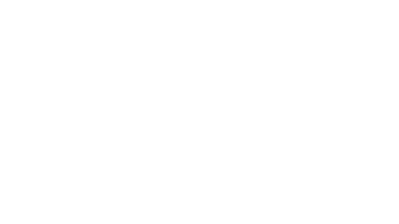 LOGO Strabag